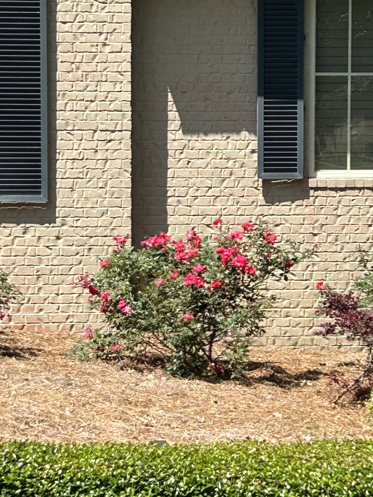 HOA Documents Carnoustie Place HOA